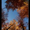 20071102_074